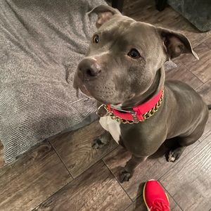 Meet your Posher, Toni